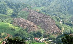 Phó Thủ tướng Trương Hòa Bình: Phải xử lý nghiêm vụ phá rừng ở Bắc Kạn