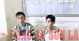 Tóm gọn 2 kẻ vận chuyển 36 bánh heroin tại Sơn La