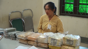 Bắt người phụ nữ vận chuyển số lượng ma túy lớn tại Điện Biên