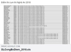 Điểm thi THPT quốc gia rò rỉ trước giờ công bố, lãnh đạo Sở GD-ĐT Nghệ An nói gì?