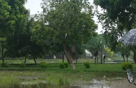 Phát hiện thi thể người đàn ông trong tư thế treo cổ ở hồ Đền Lừ, Hà Nội