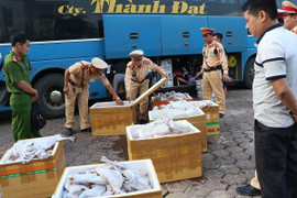 Bắt giữ xe ô tô vận chuyển hơn 900kg thịt mèo không rõ nguồn gốc