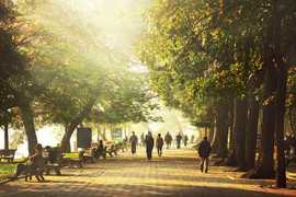 Thời tiết ngày 20/12: Bắc Bộ trời nắng, có nơi trên 28 độ C