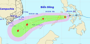 Sáng nay, áp thấp nhiệt đới giật cấp 8 đi vào Biển Đông
