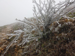 Mẫu Sơn rét 0,9 độ C, mưa lớn diện rộng bao trùm Trung Bộ và Nam Bộ