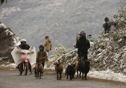 Miền Bắc tiếp tục rét đậm rét hại, có nơi dưới 7 độ C