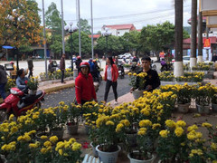 Dân đánh xe tải đến ga Đồng Đăng 'hôi' hoa: 'Họ quá đông, chúng tôi đành bất lực'