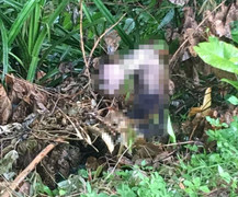 Bắt kẻ sát hại tài xế xe ôm, phi tang xác xuống bờ đê ở Hà Nam