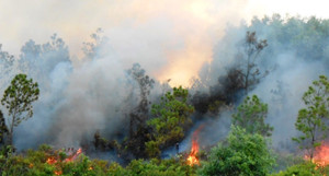 Trung Bộ đón mưa dông, nắng nóng diện rộng chấm dứt