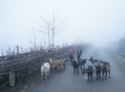 Tháng 10, không khí lạnh hoạt động mạnh ở miền Bắc