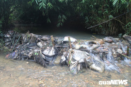 Nguồn nước sông Đà nhiễm dầu: Viwasupco khẳng định nước không chứa độc tố