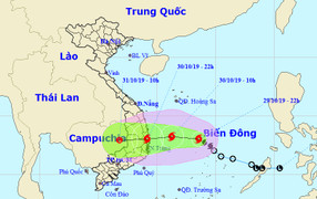 Bão số 5 hướng các tỉnh Bình Định- Ninh Thuận, gió giật cấp 10