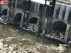 Rác thải ngập ngụa, xác động vật trôi nổi trên kênh cấp nước sinh hoạt cho người dân Thanh Hóa