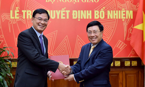 Vụ trưởng Vụ Tổ chức cán bộ được bổ nhiệm làm Trợ lý Bộ trưởng Ngoại giao