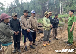Khởi tố 10 'lâm tặc' phá rừng khu giáp ranh Đắk Lắk - Khánh Hòa