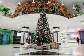 Ảnh: Mê mẩn trước khung cảnh Giáng sinh lung linh ở nhiều đại học