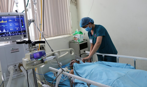 6 người Quảng Ngãi ngộ độc cá nóc: 2 trường hợp tiên lượng xấu