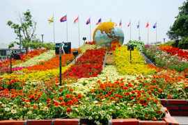 Đường hoa Nguyễn Huệ năm 2020 có gì đặc biệt?