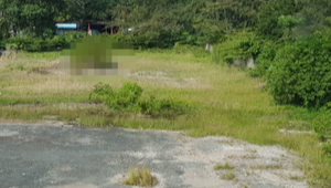 Tìm thân nhân cho người đàn ông chết trong khu đất trống ở Sóc Trăng