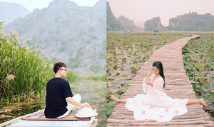 Những mùa hoa đặc biệt giữa trời đông, bạn trẻ nô nức check in ở đất cố đô