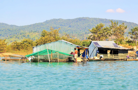 Cận cảnh cuộc mưu sinh của dân làng chài trong lòng hồ thủy điện Sê San