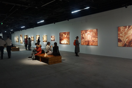 Triển lãm Tỏa 3: Lạc bước trong hành trình cảm xúc