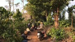 Phát hiện thi thể phụ nữ mất bàn tay, nghi bị giết trong rẫy cà phê 