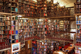 Ảnh: Những thư viện đại học đẹp nhất thế giới