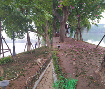 Ảnh: Vườn hoa hồ Hoàn Kiếm tan nát sau đêm giao thừa