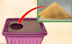 Đáp án 'bài tập về nhà của học sinh 10 tuổi cực khó'