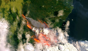 Thảm họa cháy rừng tàn phá Australia, Thủ tướng Morrison bị chỉ trích nặng nề