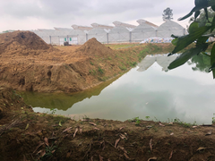 Trồng dưa trái phép trong nhà máy nước sạch: 'Không hoàn thiện pháp lý thì phải bỏ'