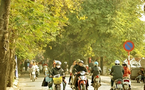 Bắc Bộ tăng nhiệt nhẹ, trưa chiều hửng nắng