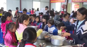 Video: Học sinh miền núi trồng rau, nuôi lợn cải thiện bữa trưa ở trường