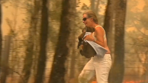 Người hùng giữa thảm kịch cháy rừng chưa từng có ở Australia