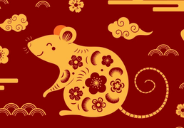 Tử vi người tuổi Tý năm 2020