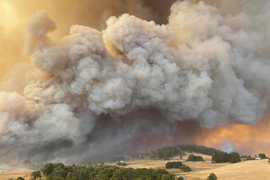 Australia: Thiệt hại kinh tế từ thảm họa cháy rừng vượt kỷ lục các mùa trước