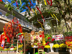 Bệnh viện làm đường hoa cho bệnh nhân đón Tết