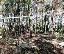 Đi đốt rác, rụng rời phát hiện 2 bộ xương giống xương người trong vali