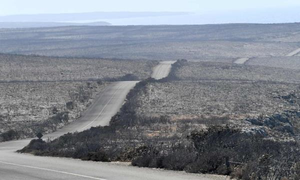 Cháy rừng thiêu rụi 1/3 diện tích đảo du lịch Kangaroo của Australia