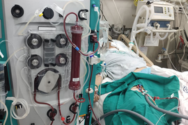 Người phụ nữ Hà Nội thiệt mạng sau 2 tháng ăn thực dưỡng