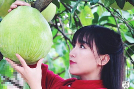 Tiên nữ đồng quê Lý Tử Thất phản bác thông tin thu nhập 'khủng'