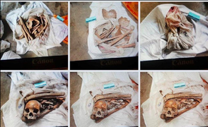 Không khởi tố vụ phát hiện 9 bộ hài cốt trong nhà dân ở Tây Ninh