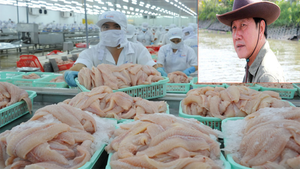 Vận đen của ‘vua cá tra’: Cổ phiếu bị kiểm soát, lỗ nghìn tỷ đồng