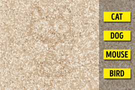 3 câu đố hình ảnh chỉ dành cho người cực tinh mắt