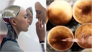 Robot sống đầu tiên được chế tạo từ phôi thai ếch