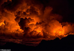 Chỉ còn 10 năm để cứu thế giới khỏi 'đại tuyệt chủng lần thứ 6'