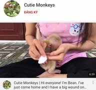 Đăng clip nuôi nhốt khỉ trái phép, một phụ nữ ở Đắk Lắk bị đề nghị xử lý