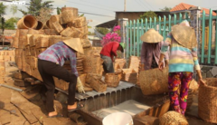 Lục bình - nỗi kinh hãi của nông dân biến thành cây giảm nghèo