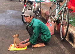 Xót xa hình ảnh 'lão Hạc thời nay' đem cún con đi bán ngày giáp Tết
